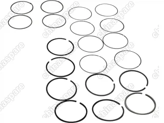 Кольца поршневые (комплект) FAW V5