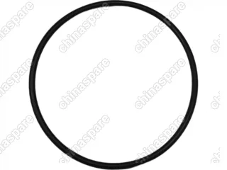 700005CHS Фильтр газовый MB OM906LAG МАЗ