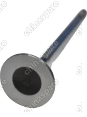 Клапан выпускной JAC T6