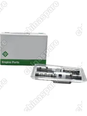 Комплект клапанов распредвала фазовращателя Opel/Chevrolet INA