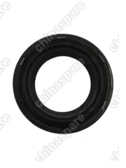 Кольцо уплотнительное свечного колодца  Brilliance V5 (1035A872A)