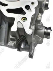 Головка блока цилиндров в сборе Zotye T600 Coupa TNN4G15T (уценка)