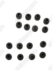 Колпачок маслосъемный (комплект) Zotye T600 Coupa TNN4G15T 1,5L