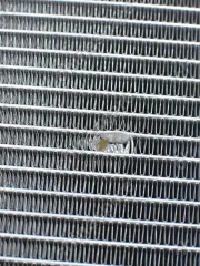 Радиатор охлаждения Foton Sauvana (уценка)