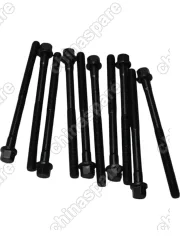 Болт ГБЦ 480 Chery Amulet (комплект) VICTOR REINZ