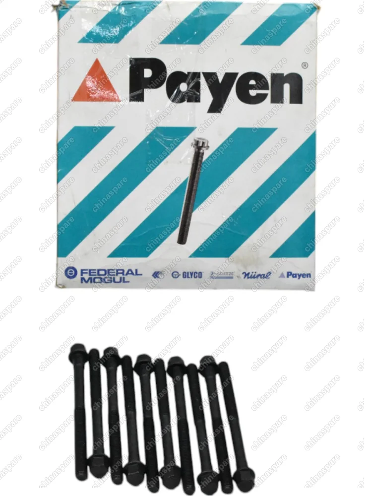 Болт ГБЦ 480 Chery Amulet (комплект) PAYEN