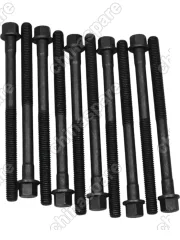 Болт ГБЦ 480 Chery Amulet (комплект) PAYEN