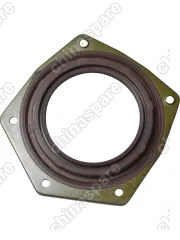 Комплект прокладок двигателя Zotye T600 (1.5T) 15S4G (м/к 4.9) ПГБ металлопакет