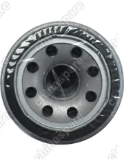 Фильтр масляный Forthing T5 EVO