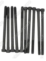 Болт ГБЦ 10 шт на авто Jac J7 1002027GG010 (2020- )