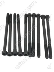 Болт ГБЦ 10 шт на авто Jac J7 1002027GG010 (2020- )