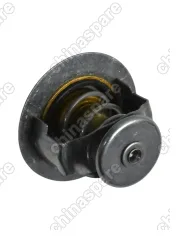 ТЕРМОСТАТ JAC REIN (C190) / S5