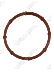 Прокладка впускного коллектора H9 Дизель