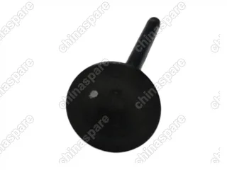 Клапан выпускной 1,8 Brilliance M2