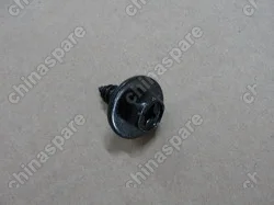 Q2756319F31+Q42263 Bolt_black zinc BYD F0