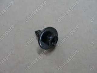 Q2756319F31+Q42263 Bolt_black zinc BYD F0