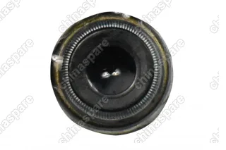 Колпачок маслосъемный BYD Flyer