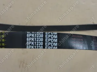 1025616300 Ремень компрессора кондиционера и генератора f0 BYD Flyer