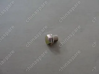 Пробка сливная масленного картера f0 BYD Flyer