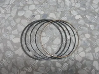 Кольцо поршневое (комплект) f0 BYD Flyer