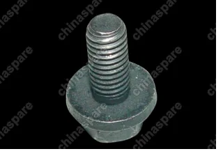 06506567aa Screw head with gasket Chery Amulet