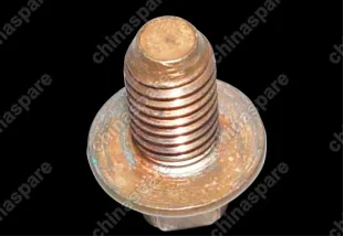 06506461aa Bolt,heat insulator Chery Amulet