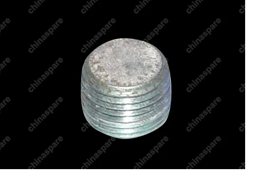 06036346aa Jam Chery Amulet