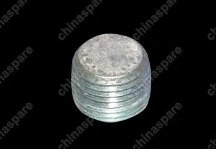 06036346aa Jam Chery Amulet