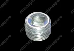 06036346aa Jam Chery Amulet