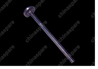04777772ac Valve-exhaust Chery Amulet