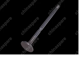 04777772ac Valve-exhaust Chery Amulet