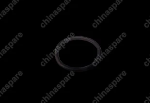 04693107aa Seal ring Chery Amulet