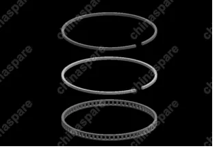 Кольца поршневые (0.50) Chery Amulet