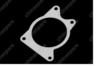 Прокладка насоса водяного (помпы) Chery Amulet