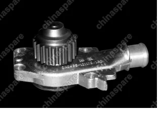 4801307010 Pump assy - water Chery Amulet