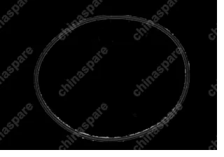 Кольцо уплотнительное Chery Amulet