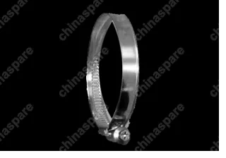 cq67676 Clamp - worm Chery Amulet