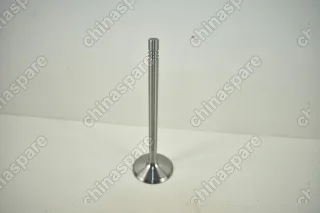 Клапан впускной Chery Amulet, Karry