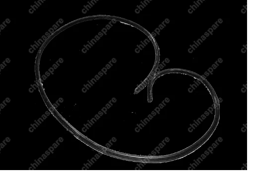 A115402122 Weather seal(r),r. door Chery Amulet