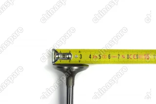 Клапан выпускной Chery Amulet