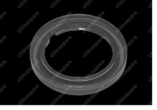 A15481274CV Oil seal - input shaft Chery Amulet