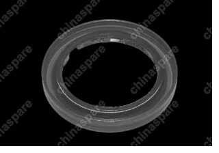 A15481274CV Oil seal - input shaft Chery Amulet