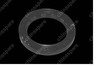 A15481274CV Oil seal - input shaft Chery Amulet