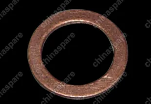 A113406111 Шайба Chery Amulet