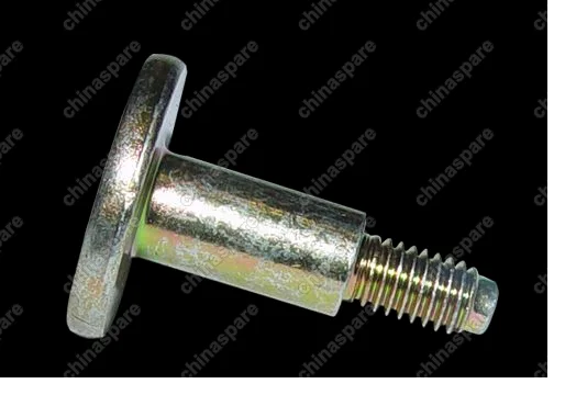 A113550095 Винт Chery Amulet