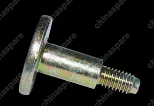 A113550095 Винт Chery Amulet
