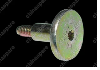 A113550095 Винт Chery Amulet