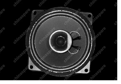 A117901070 Speaker loud-door Chery Amulet