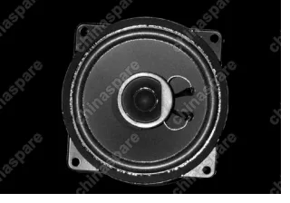 A117901070 Speaker loud-door Chery Amulet