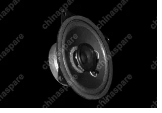 A117901070 Speaker loud-door Chery Amulet